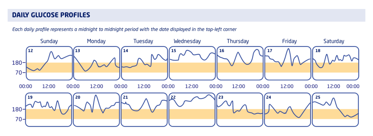 Example of a daily AGP report